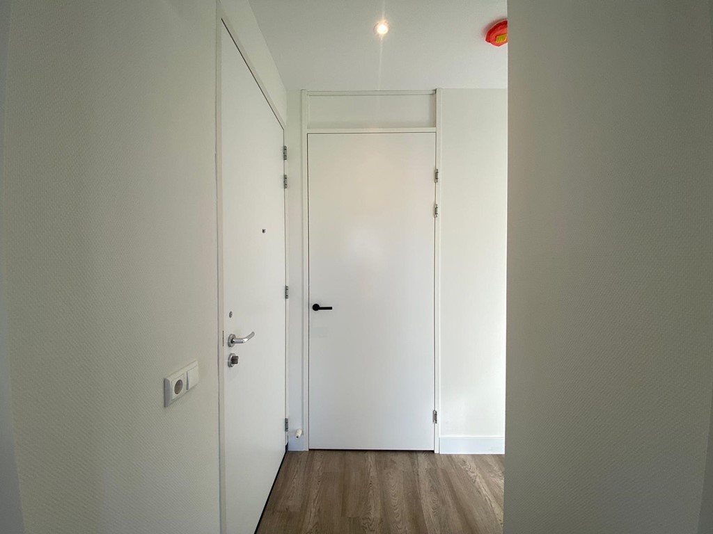 Eckartseweg Zuid, Eindhoven foto 4